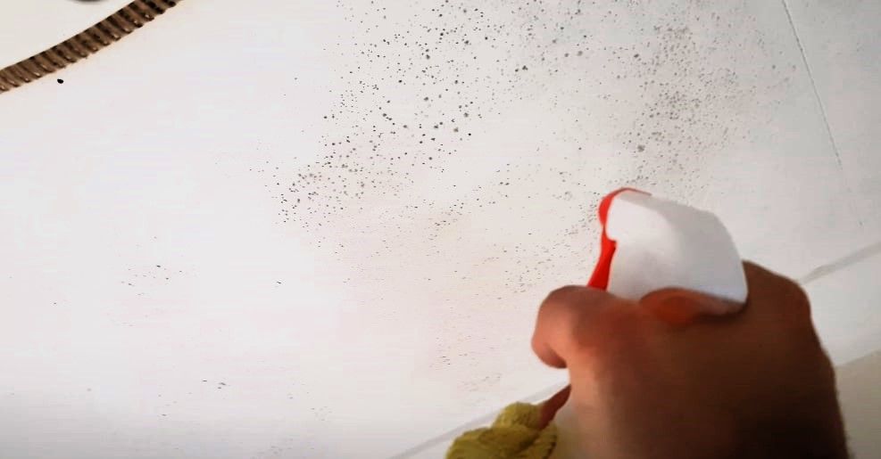 Image of bathroom ceiling with visible mold growth