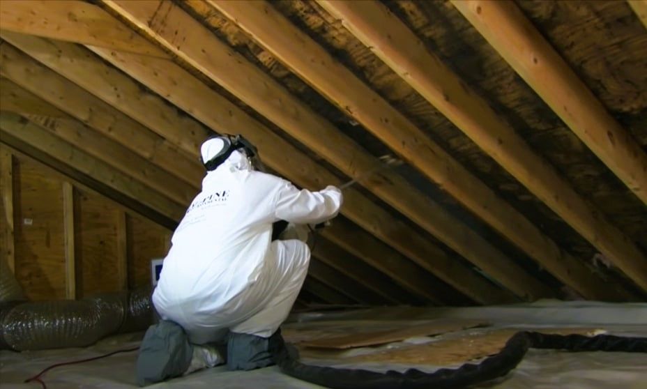 Professional mold remediation expert inspecting and treating mold growth in an attic