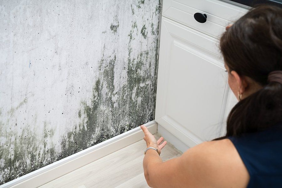 woman pointing to mold
