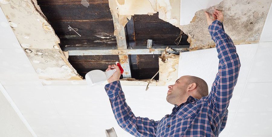 man cleans mold on ceiling with spray cleaner