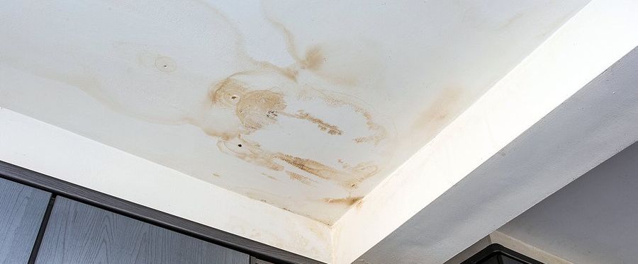 visible water damage to ceiling that could be hiding mold