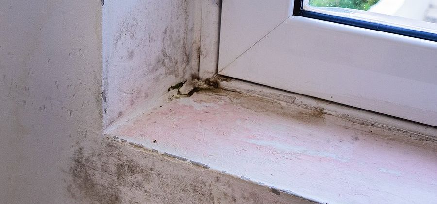 moldy window sill in Grand Rapids, MI home