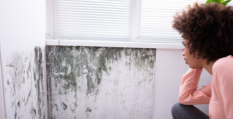 woman looking at mold on her home's wall