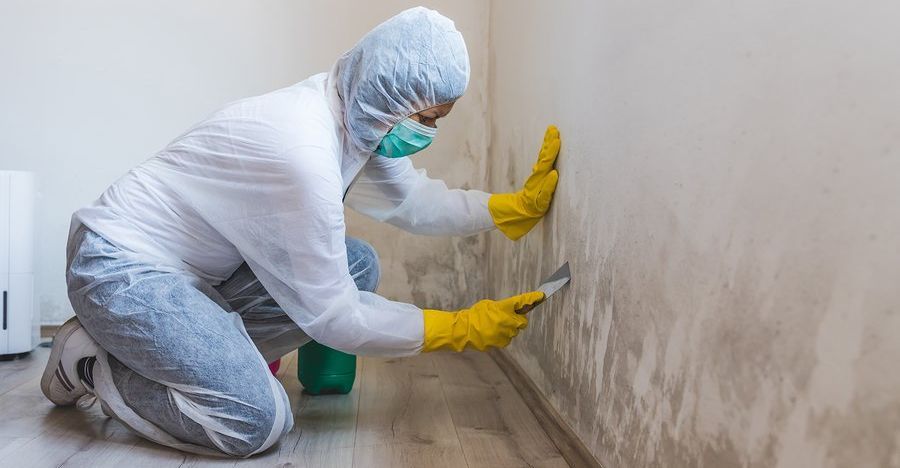 person in safety gear removes mold from wall