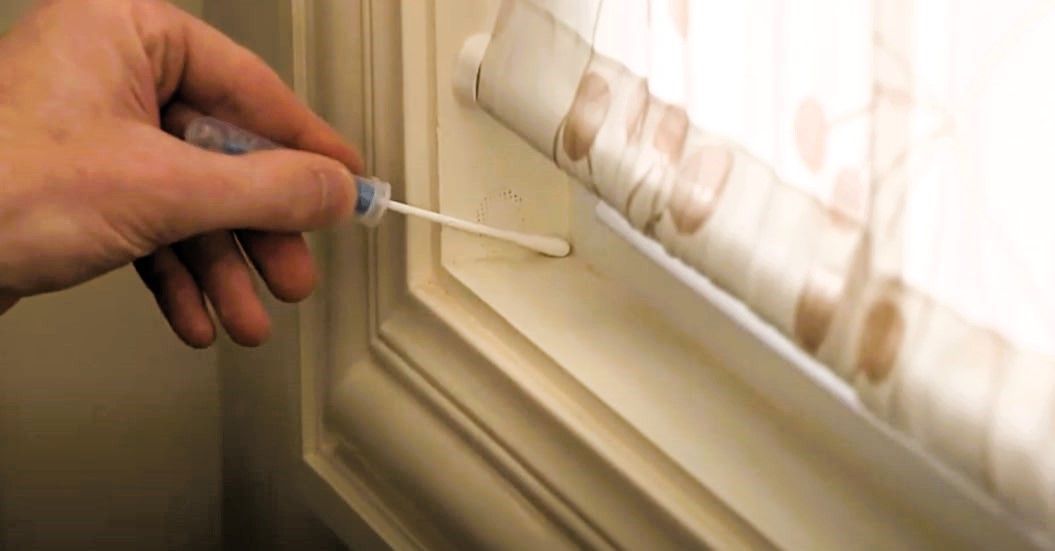 Man conducting mold inspection using a mold test kit