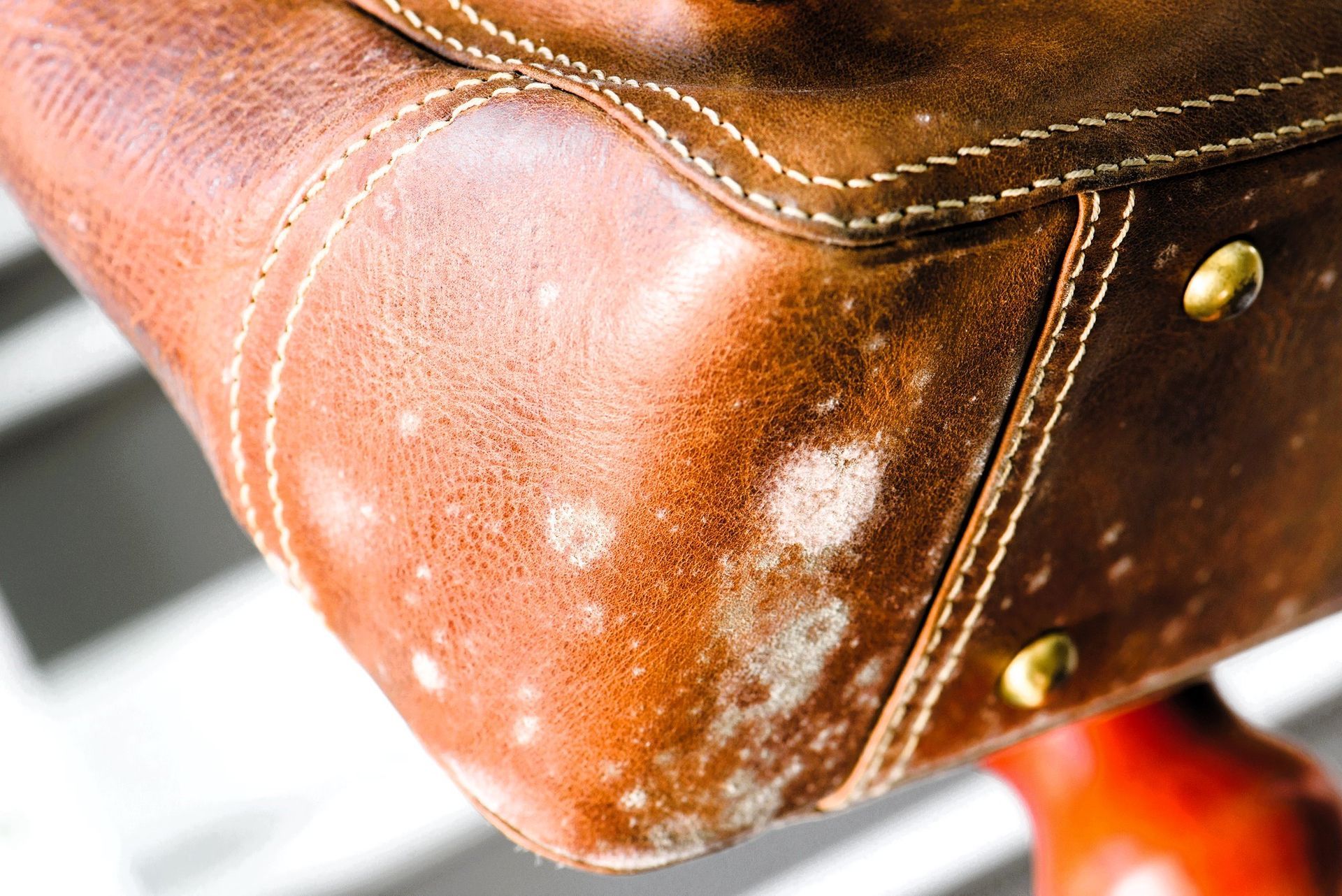 Leather bag with mold growth.