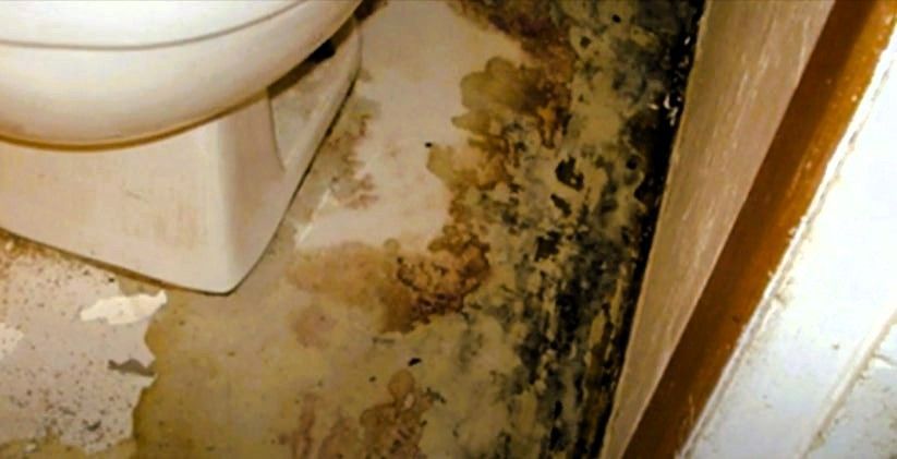 Close-up of bathroom floor with extensive mold growth and water damage near a toilet.