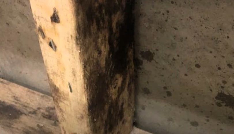 Moldy wooden beam from a water leak against a concrete background