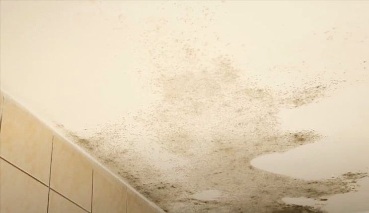 Bathroom ceiling with mold growth, showing dark patches spreading near tiled wall