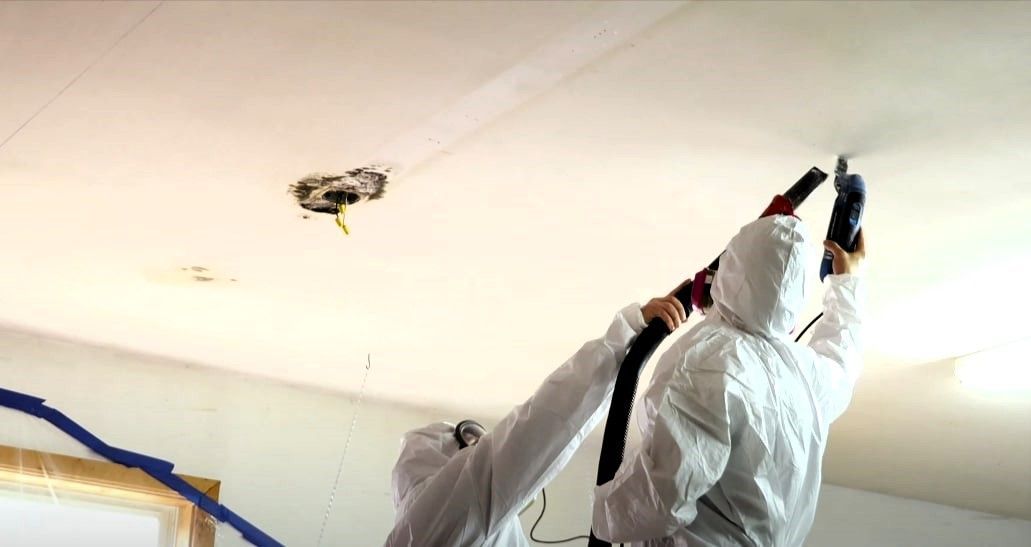 Experts in protective gear inspecting and treating a garage for mold prevention