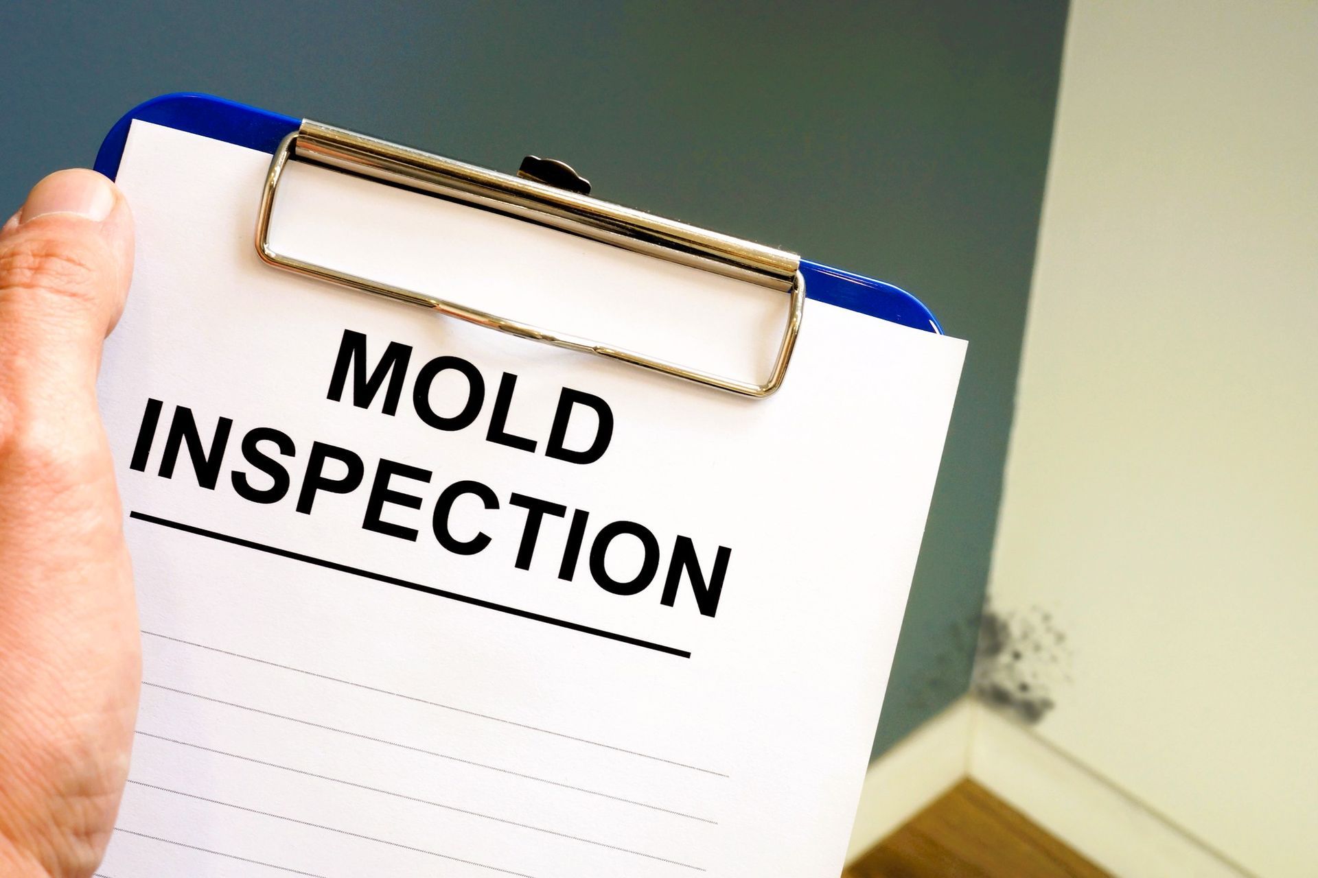 Close-up of hand holding mold inspection clipboard near wall with visible mold signs