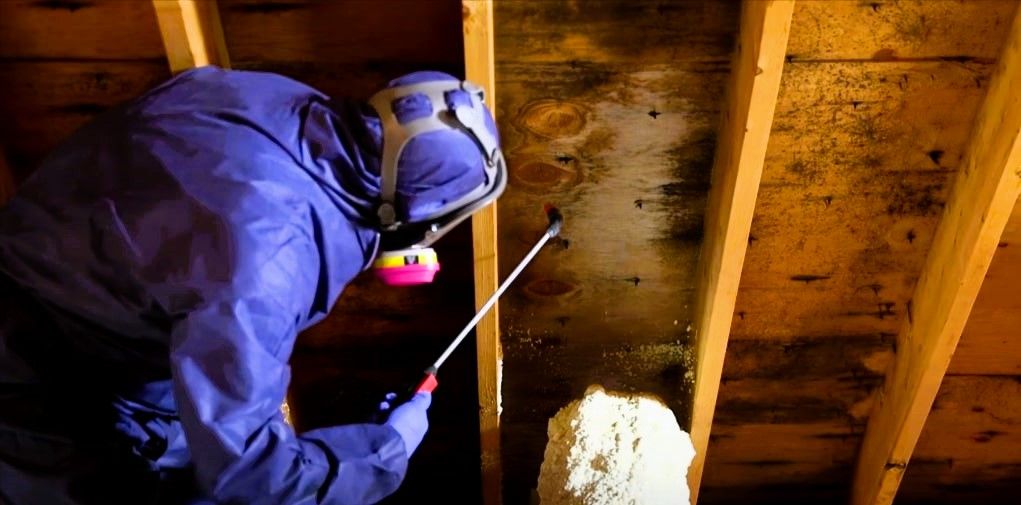 Expert in protective gear spraying insulation material in attic for mold remediation.