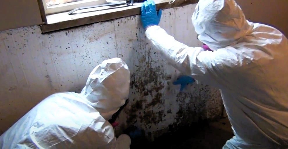 Two people in protective suits cleaning a mold-infested room.