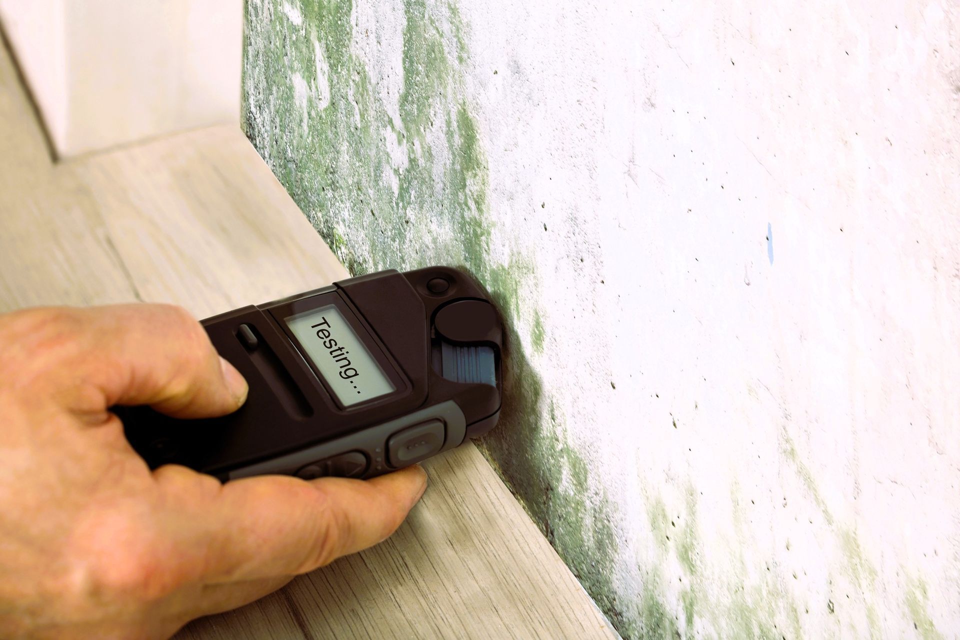 Mold testing with moisture meter on moldy wall and wood floor