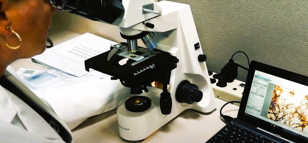 Lab technician uses microscope for mold testing, laptop displays magnified sample.