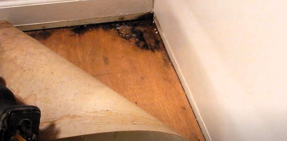 A room with wooden flooring showing dark mold patches underneath.