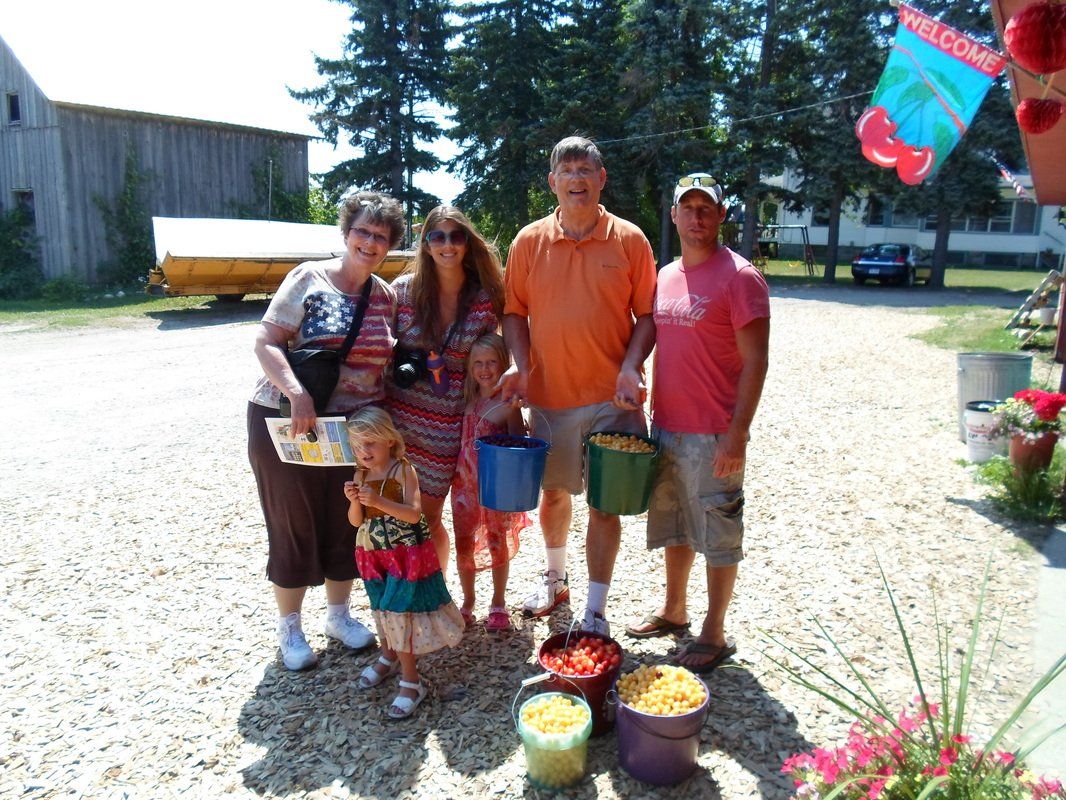 fruits and visitors