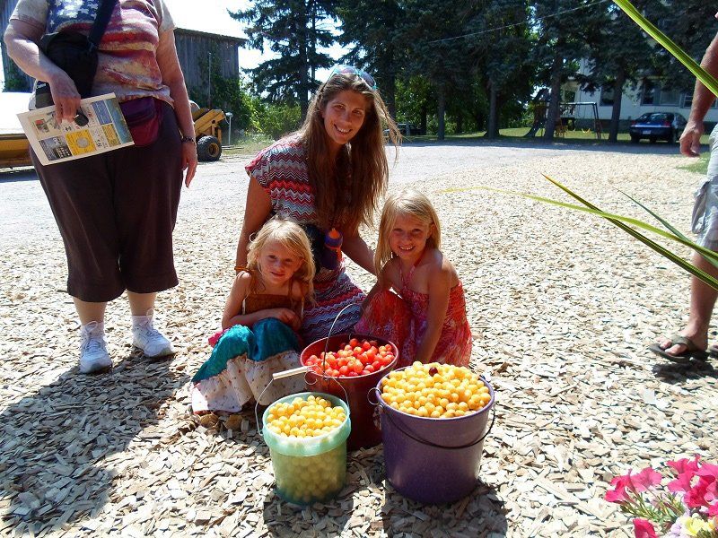 fruits and visitors