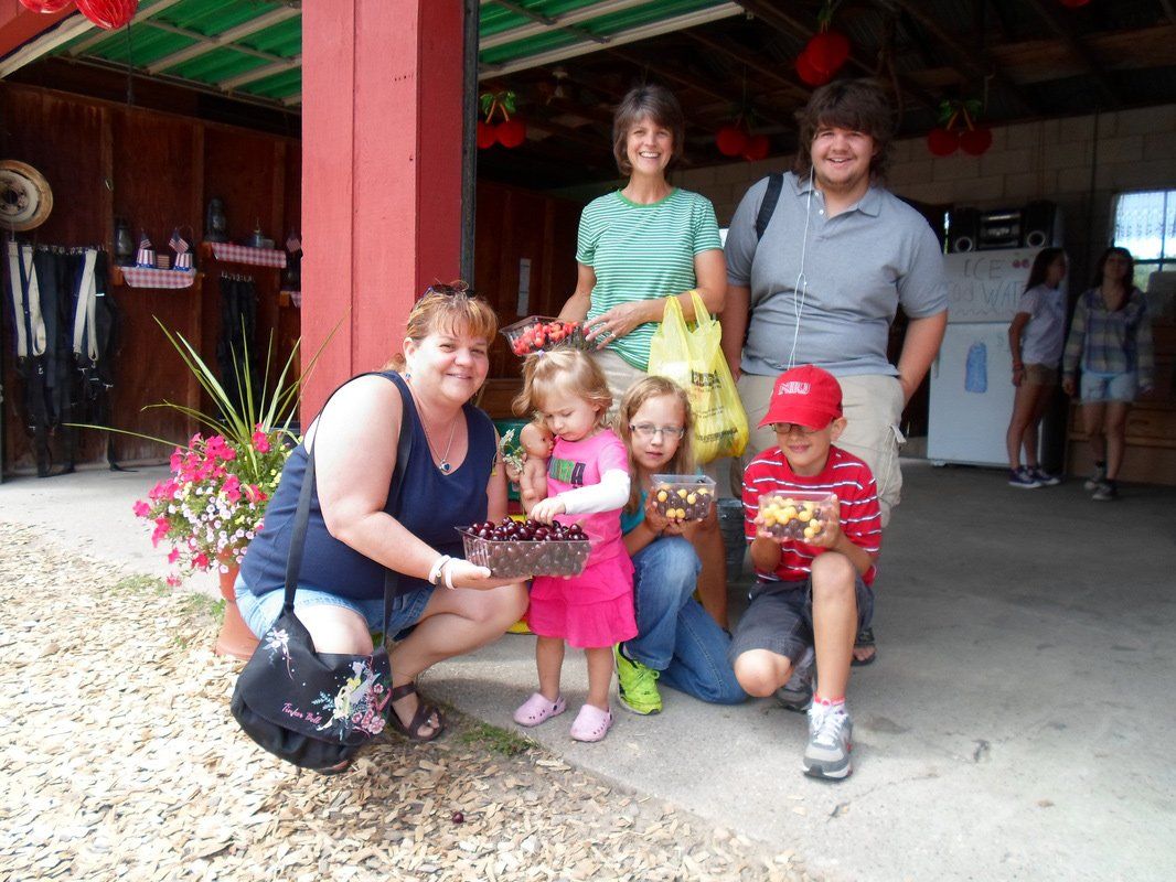 visitors