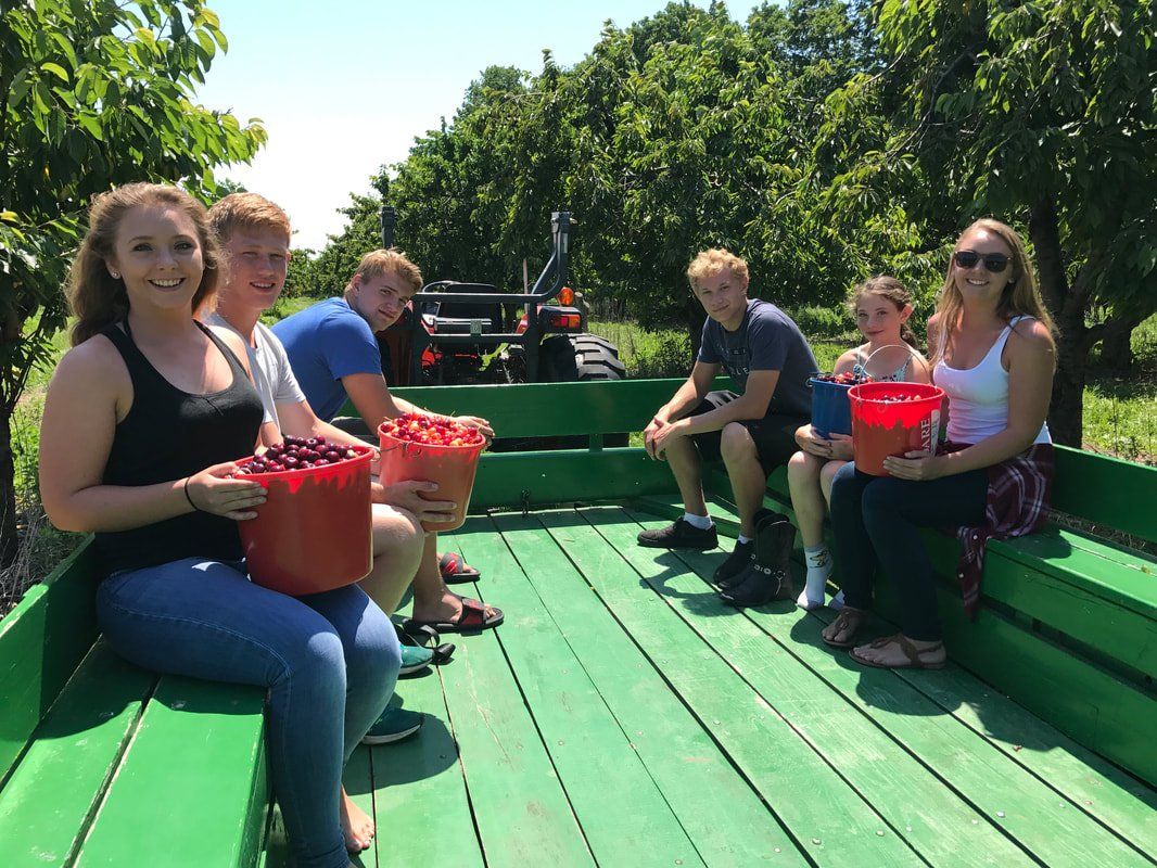 visitor of the rennies orchard