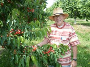 Rennies Orchard Owner