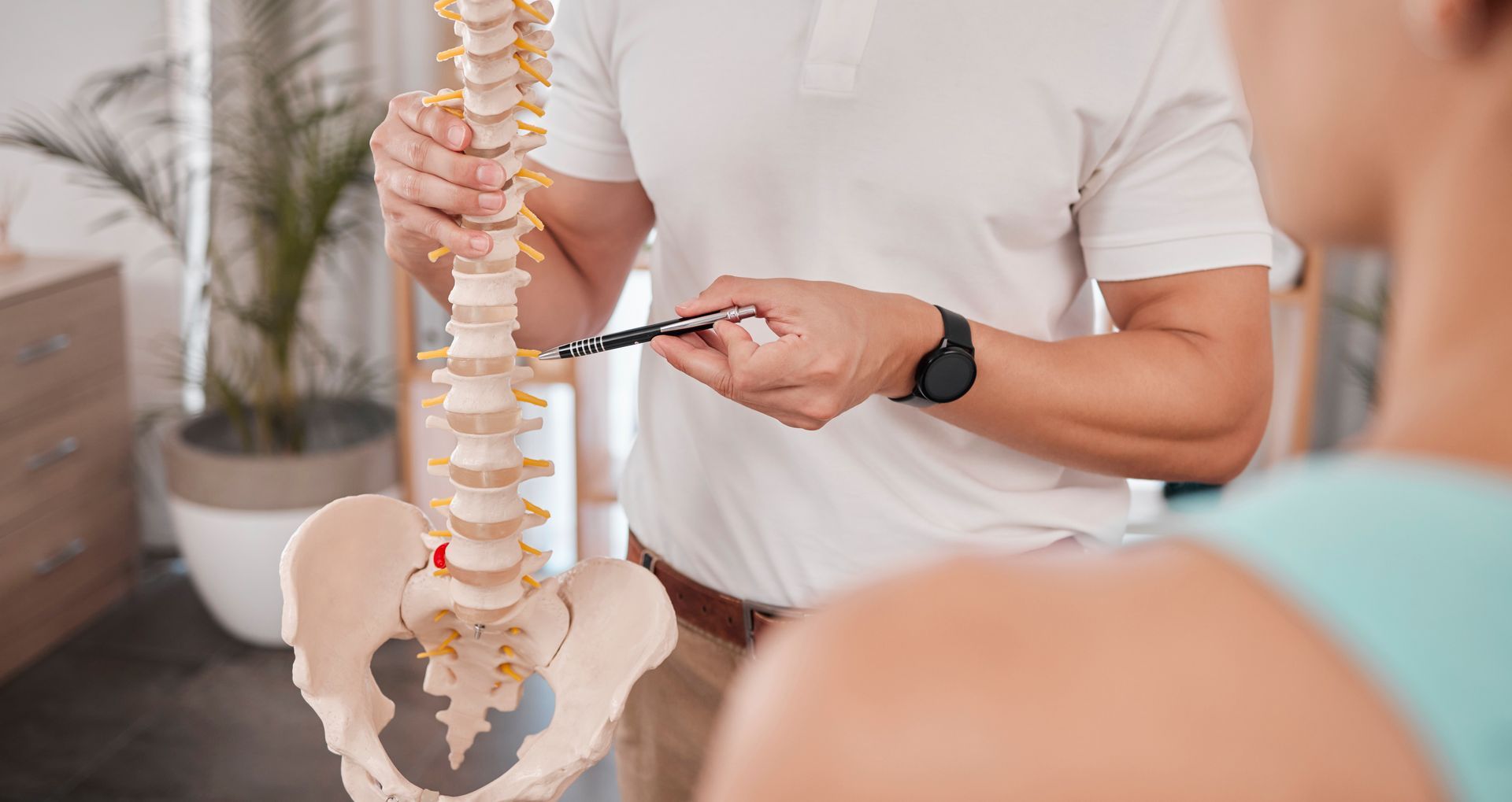 Chiropractor pointing to spine model, explaining to a patient in an office.