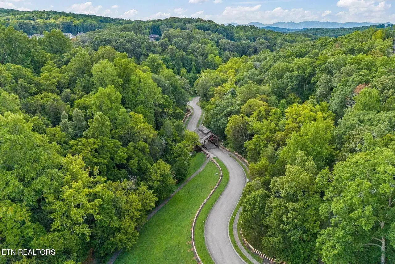 Winding road through lush green forest, leading to a covered bridge; sunny day, aerial view.