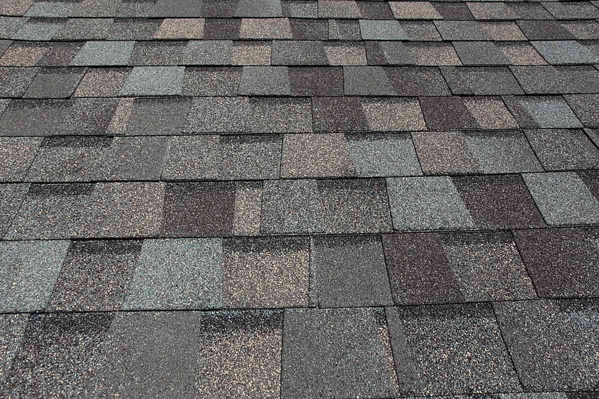 Asphalt shingles on a roof, various shades of gray, brown, and green.