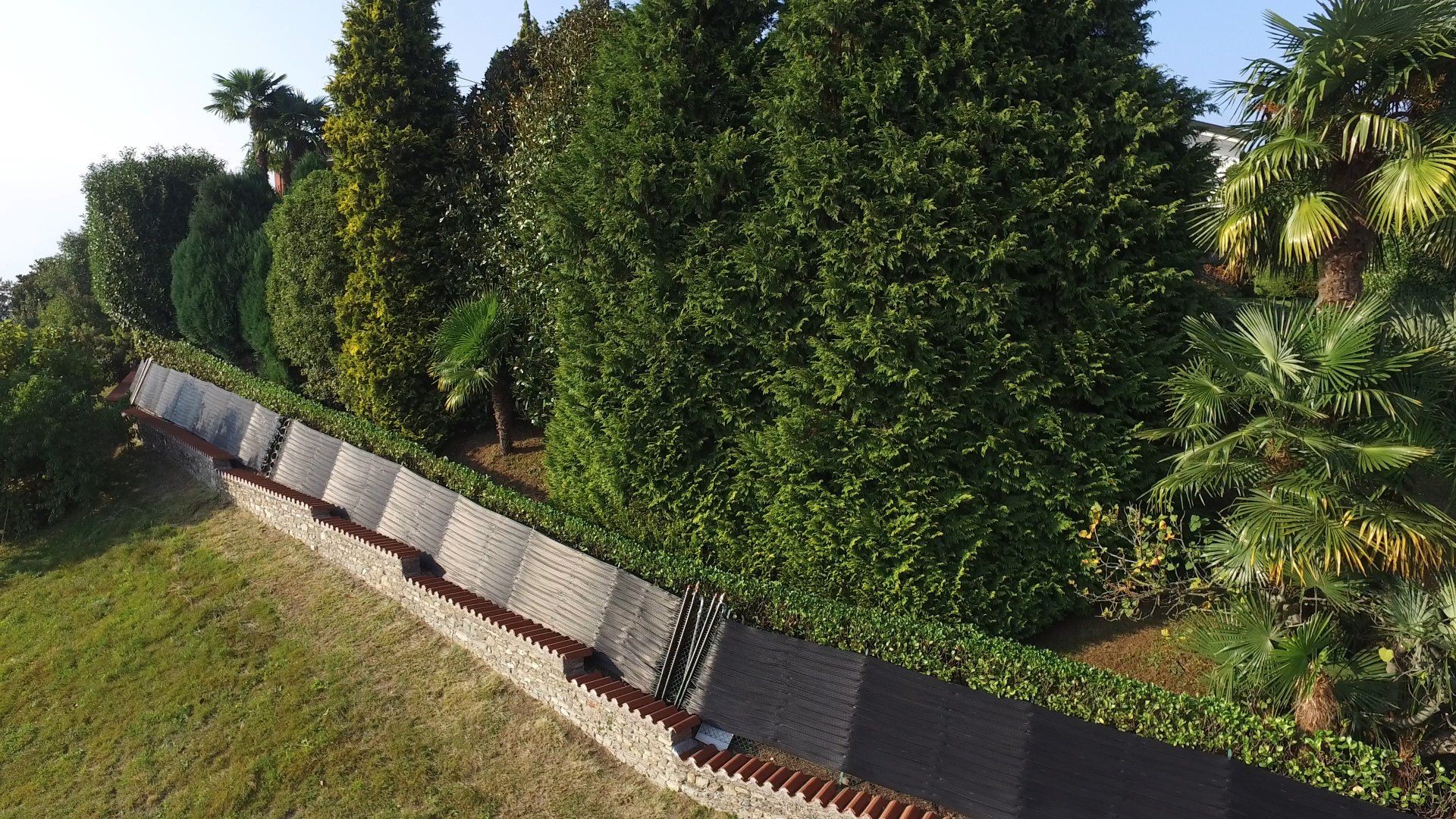 Solarpanele im Garten