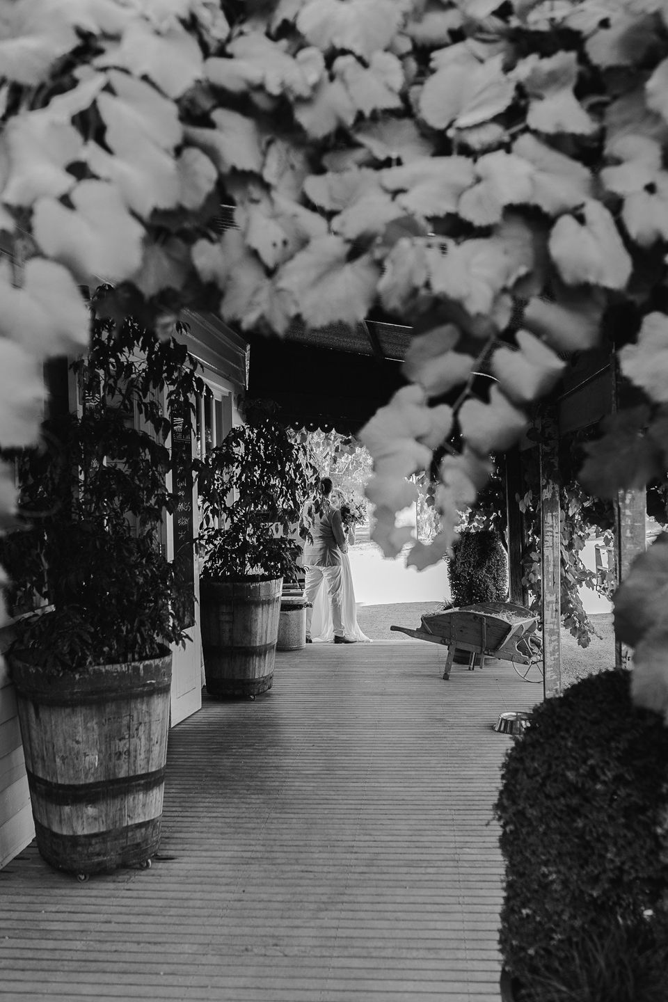 Iris Park Garden Weddings Merricks General Wine Store