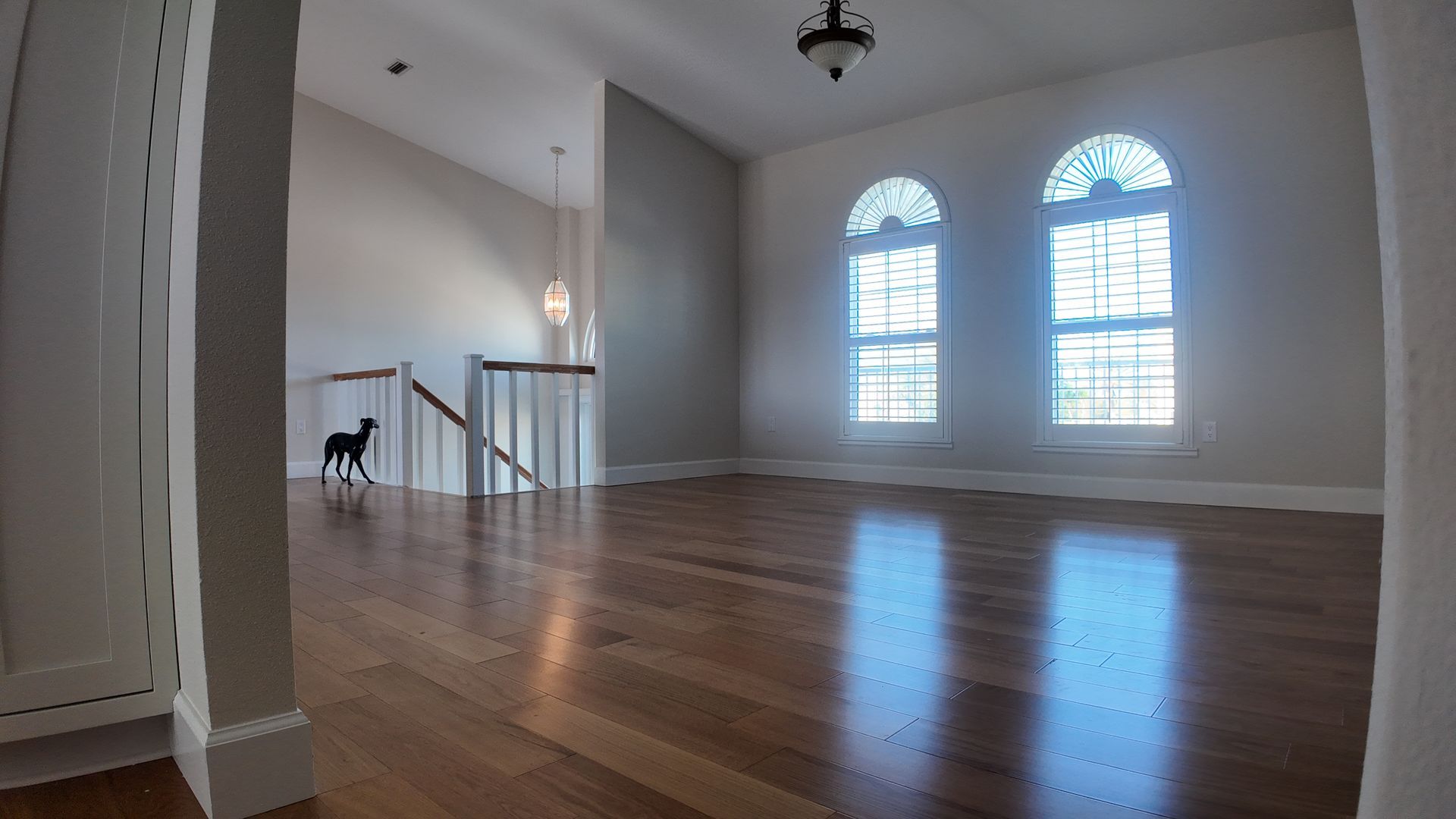 Empty room with hardwood floors, arched windows, and a dog on the stairs.