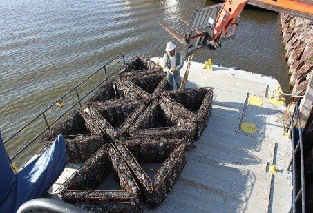 A man is sitting on the deck of a boat holding a crane - Baton Rouge, LA - Coastal Environments, Inc.