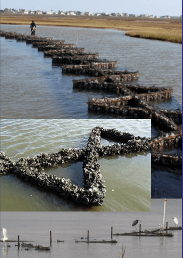 A collage of pictures of a body of water with a few birds in it - Baton Rouge, LA - Coastal Environments, Inc.