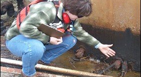 A woman is kneeling down next to a pipe while holding a clipboard - Baton Rouge, LA - Coastal Environments, Inc.