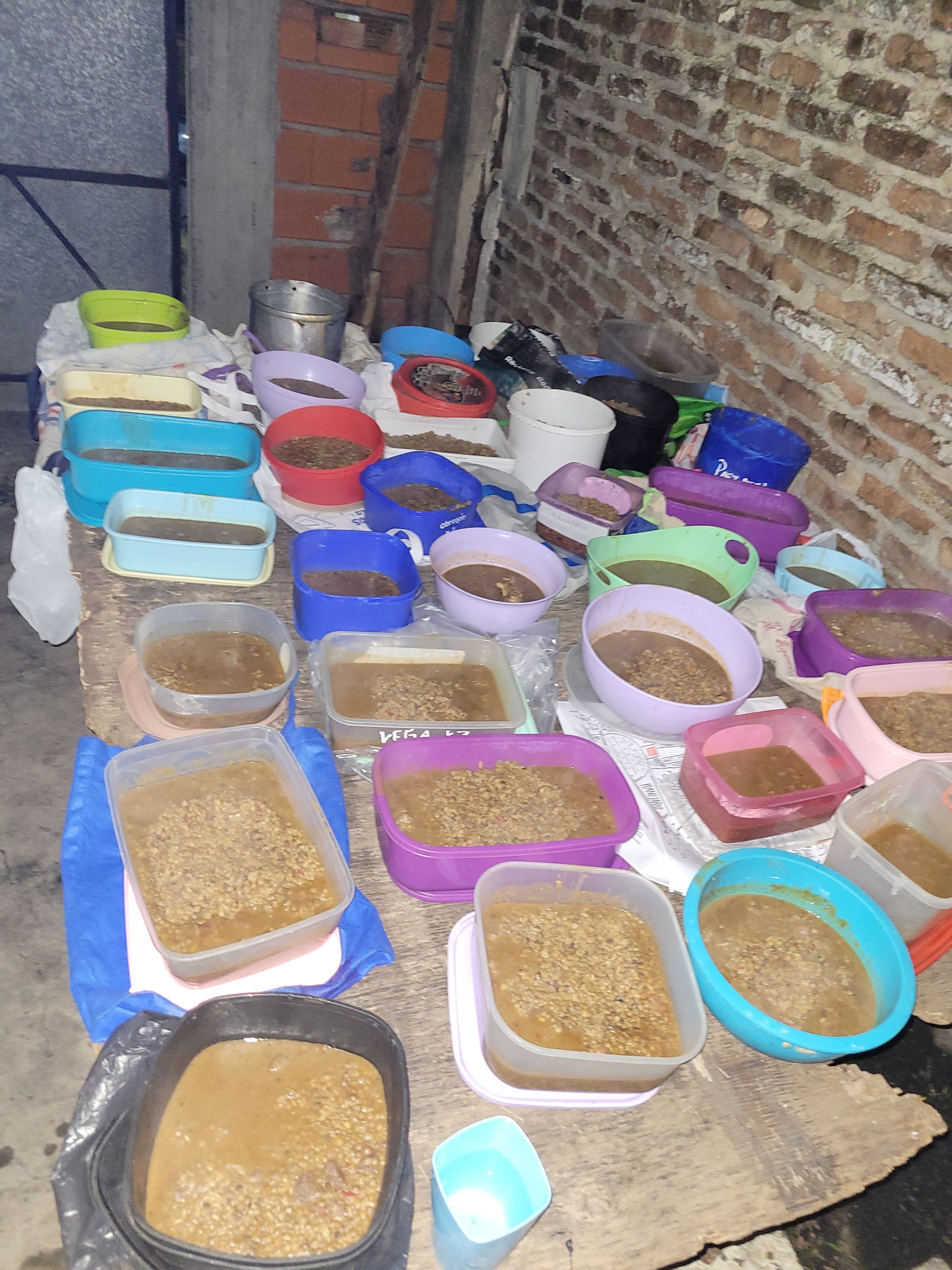 Recipientes variados con comida, probablemente para animales