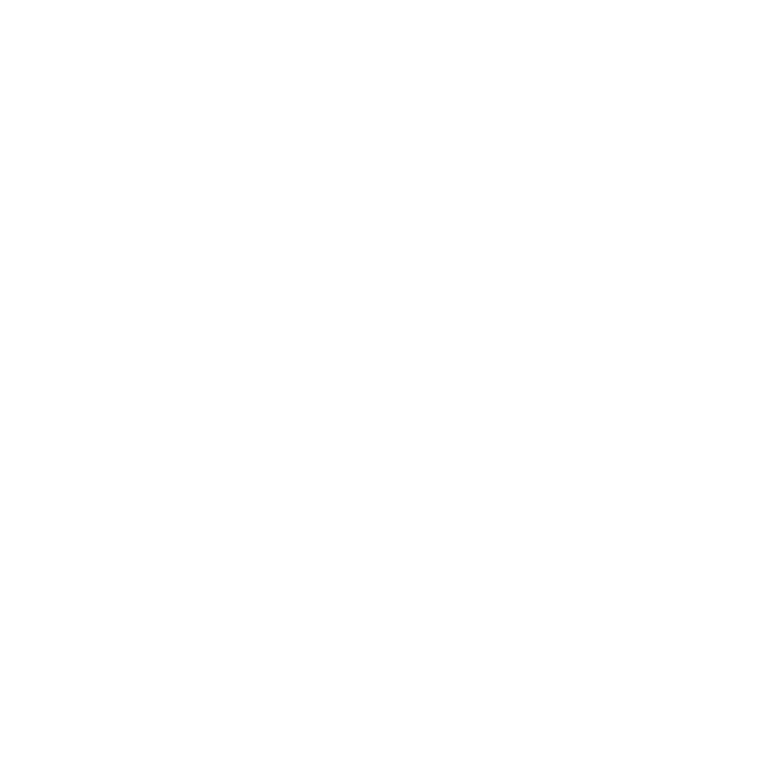 Rays Auto icon