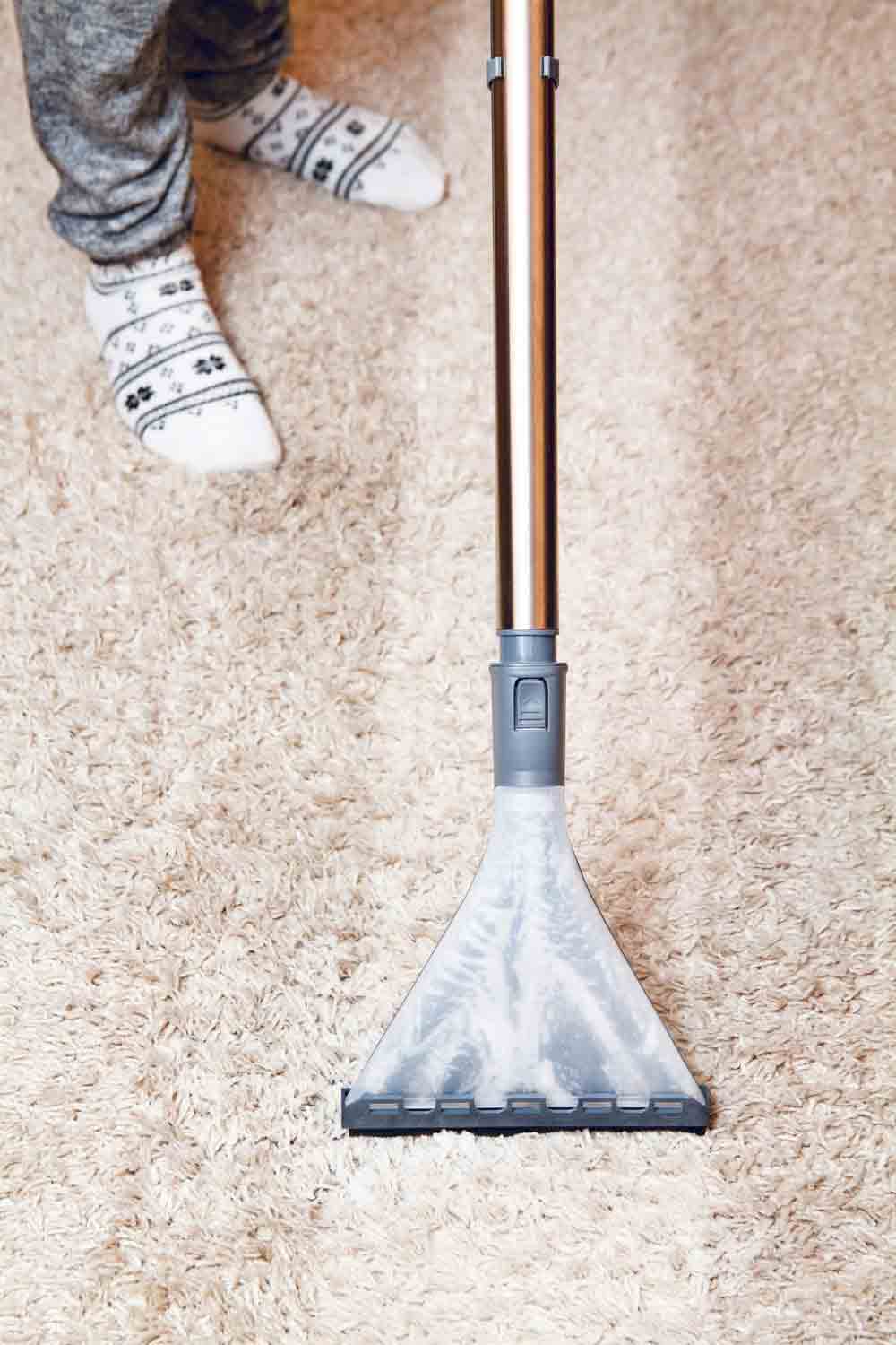 Steam Cleaning a Carpet — Carpet Cleaning in Toowoomba, QLD