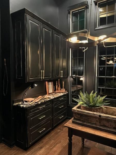 Modern kitchen with dark cabinets, black countertops, and a potted succulent on a wooden island.