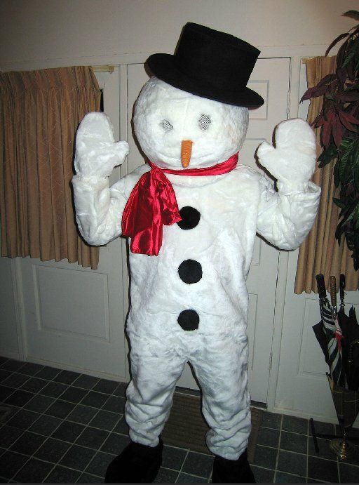 A snowman is wearing a top hat and scarf
