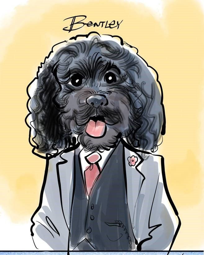 A drawing of a dog bentley wearing a suit and tie