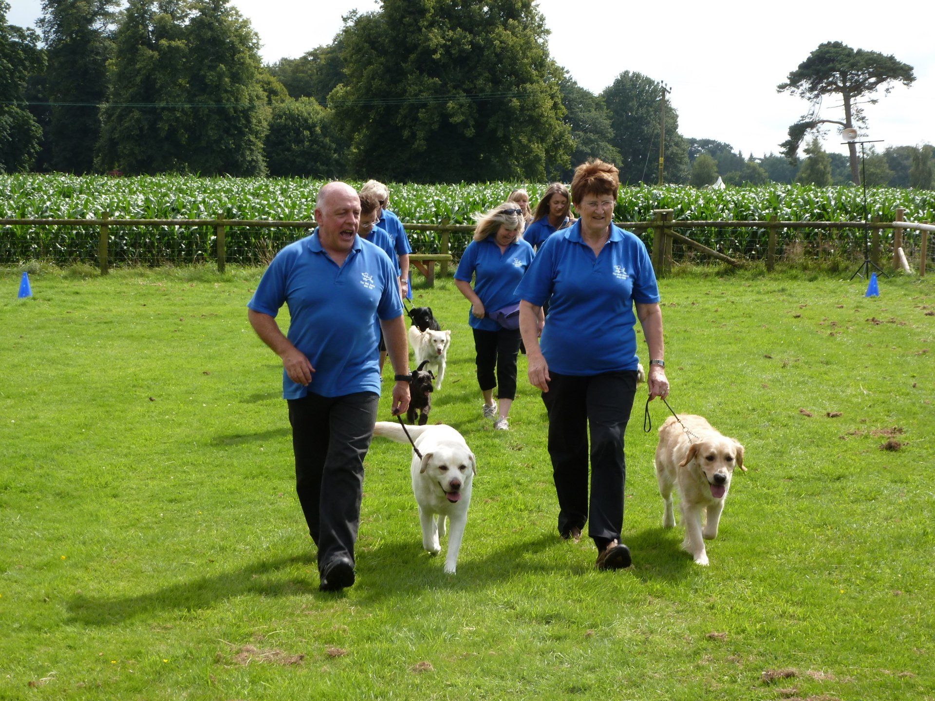Group walking with dogs on lead controlled