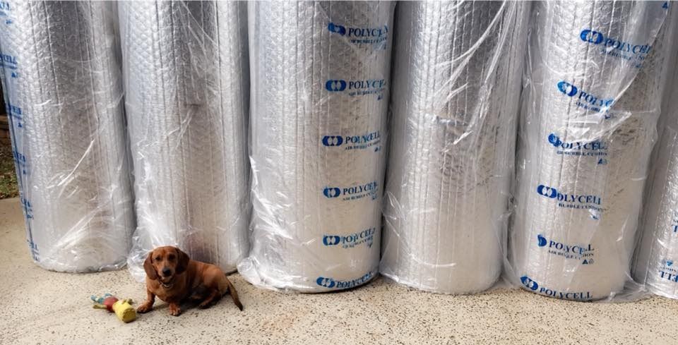 A Dog Is Sitting In Front Of A Stack Of Bubble Wrap Rolls — The Woolmen In Alstonville, NSW