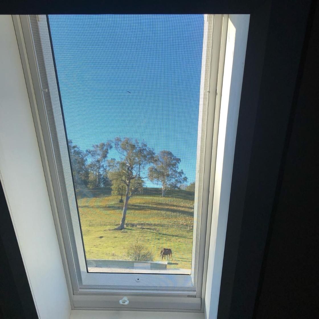 A View Of A Field Through A Skylight Window — The Woolmen In Casino, NSW