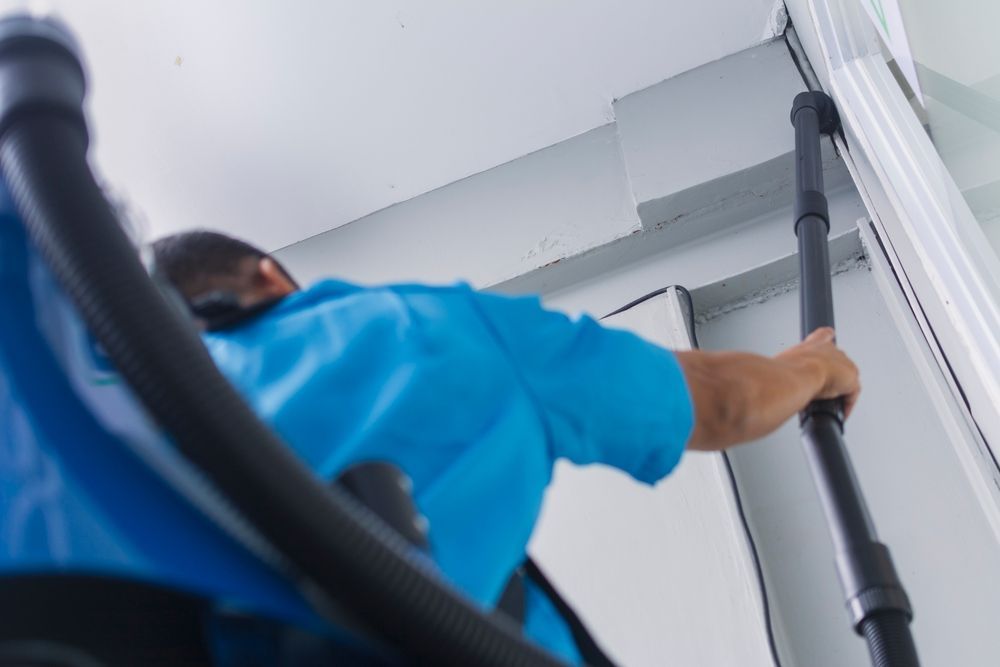 A Bedroom With A Bed , Dresser , Chair And Skylight — The Woolmen In Alstonville, NSW