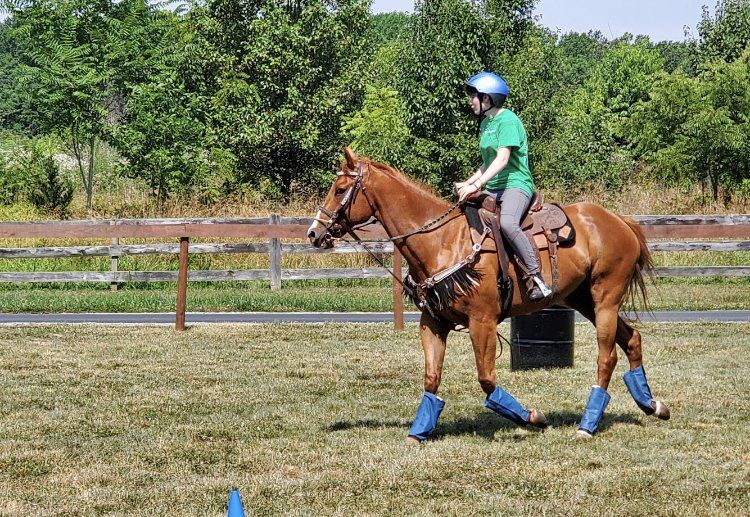 Mill Creek Equestrian LLC Ashland, VA