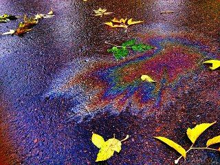 Oil sheen on pavement with scattered yellow leaves