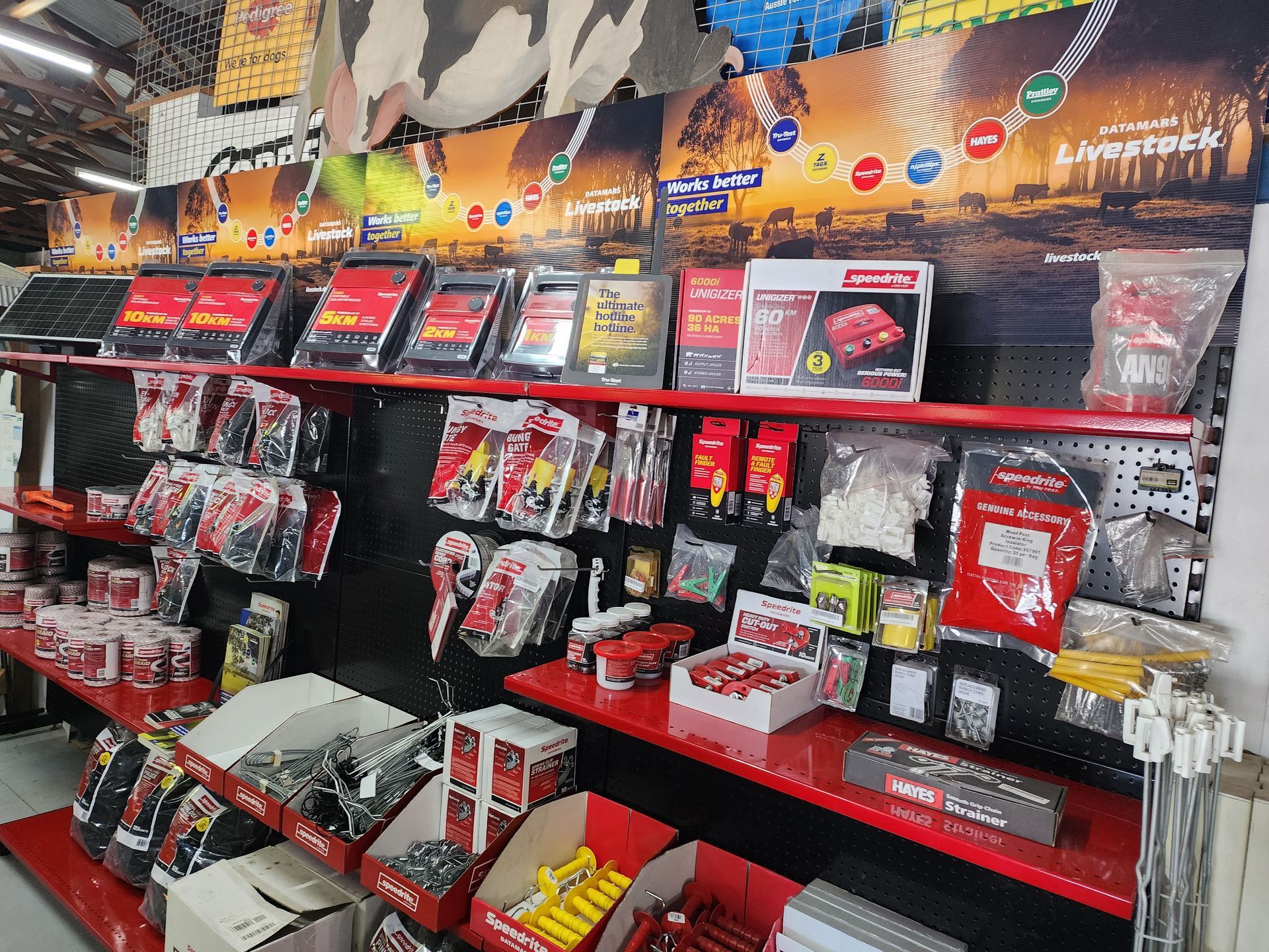 A man is driving a forklift on top of a truck.