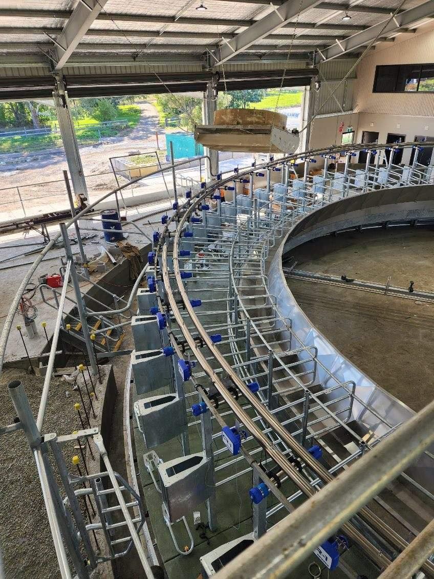 A row of cows eating hay in a barn