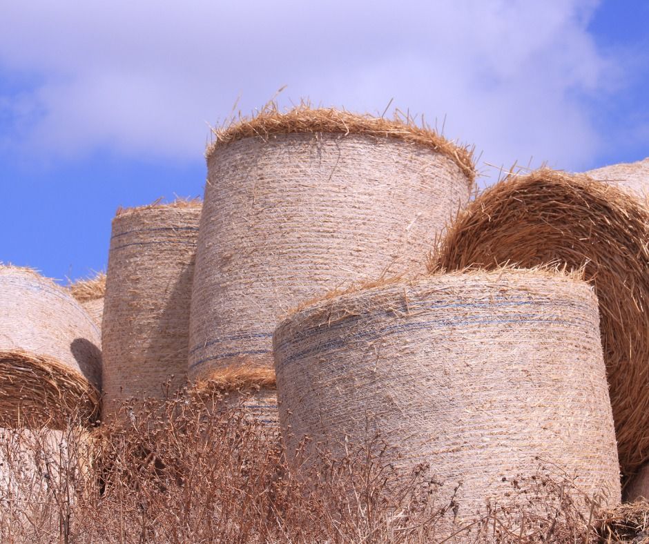 A bunch of hay bales stacked on top of each other in a field