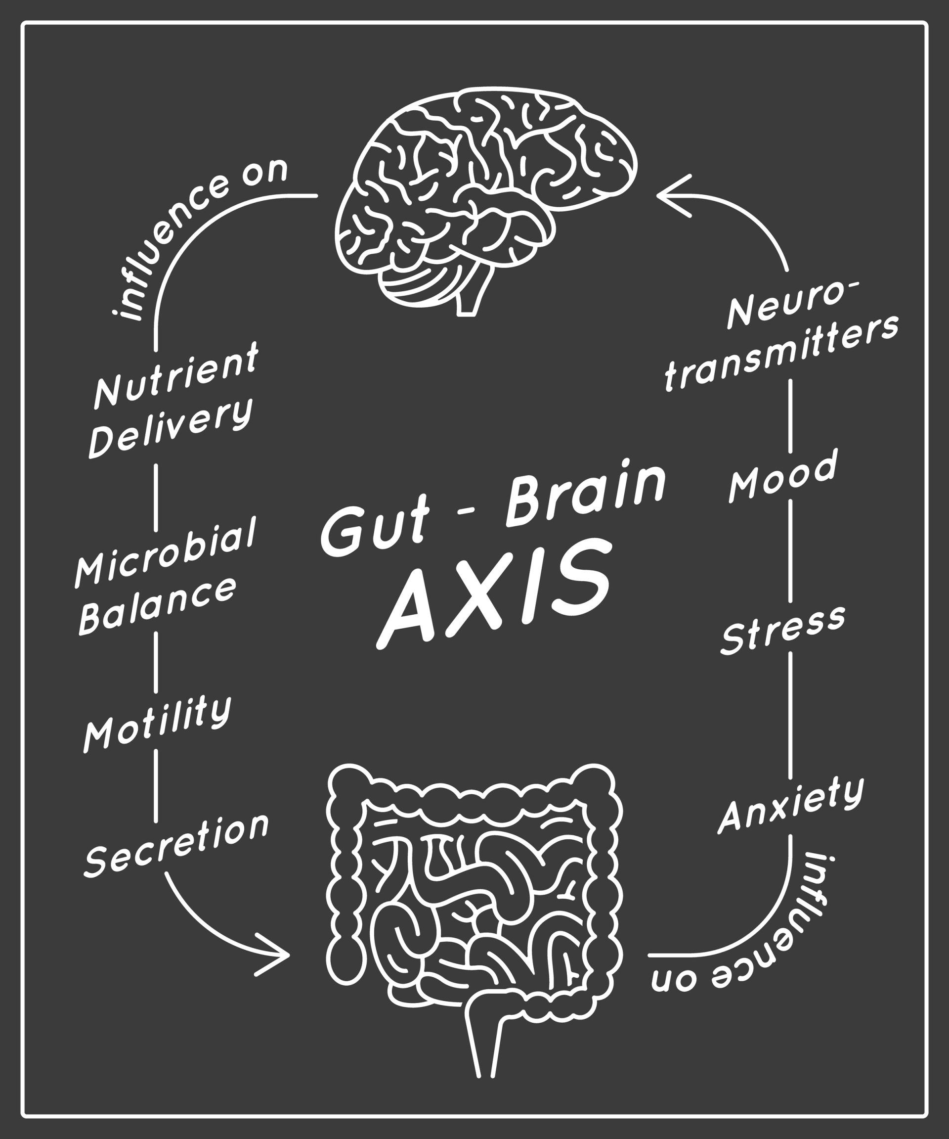 Gut Brain AXIS Vertical Poster — Colon Cleansing in Burleigh Heads, QLD